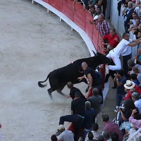 Ibis Budget Lunel Porte De Camargue Hotel